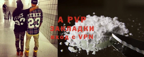 бошки Гусев