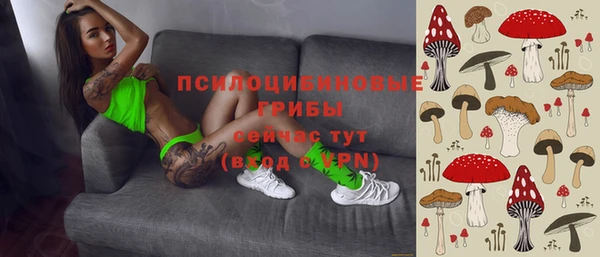 a pvp Гусиноозёрск