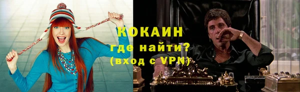 бошки Гусев