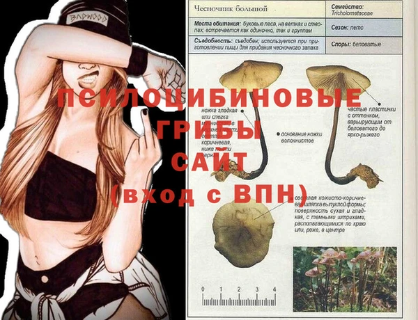 бошки Гусев