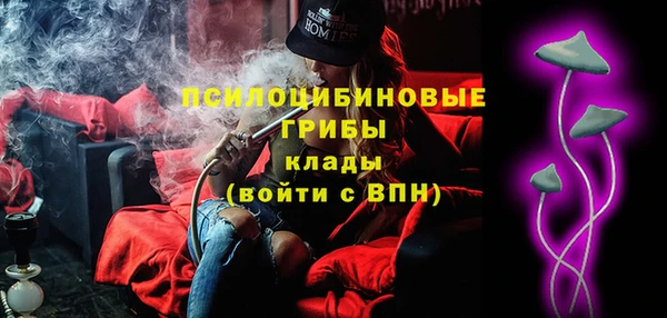 бошки Гусев