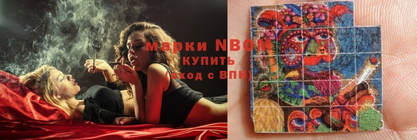 PSILOCYBIN Гусь-Хрустальный
