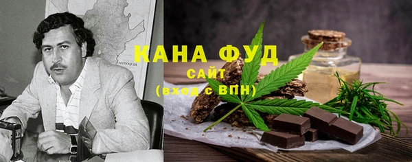 PSILOCYBIN Гусь-Хрустальный