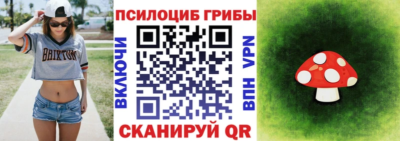 hydra сайт Нефтеюганск Псилоцибиновые грибы прущие грибы наркота